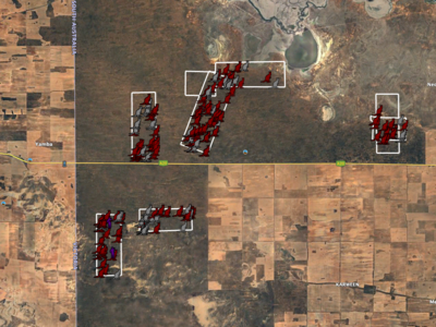 Survey of NW Victoria for red and grey kangaroos