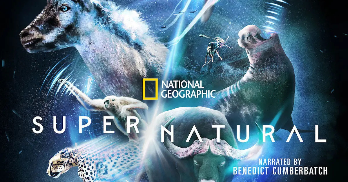 Super/Natural
