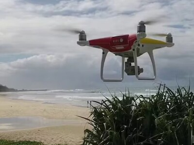 Drone hovering over a shark