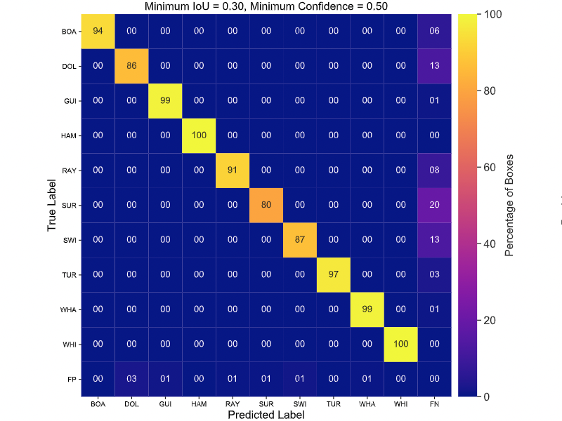 Confusion Matrix of Marine Species