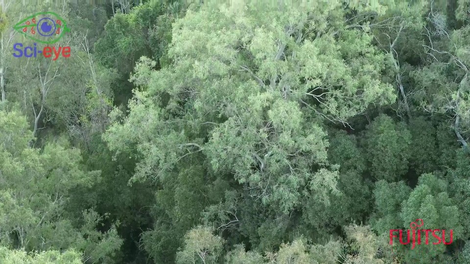 First Image of video