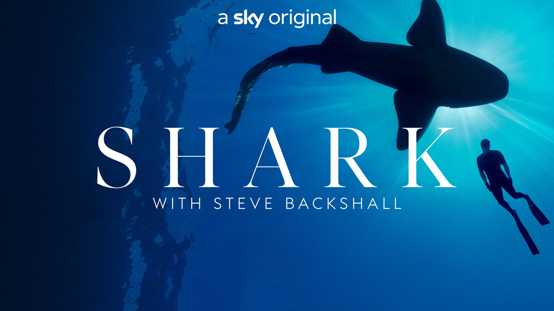 Shark with Steve Backshall